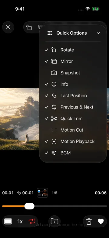 Quick Options
