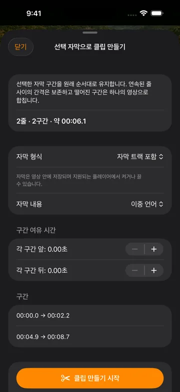 자막 검토 및 편집
